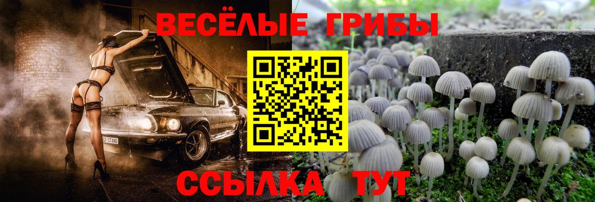 Галлюциногенные грибы ЛСД  Вход с VPN  закладки  Галлюциногенные грибы GOLDEN TEACHER  Дубна 